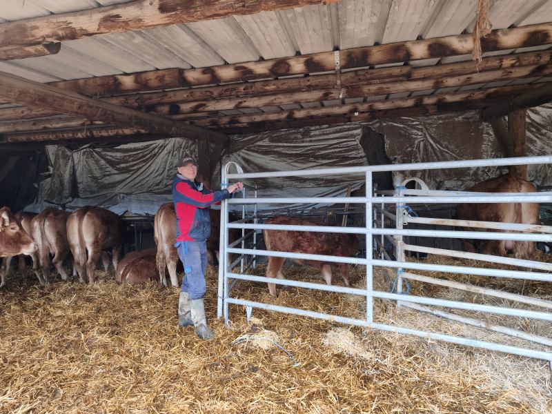 Bauer arbeitet am gitter stall