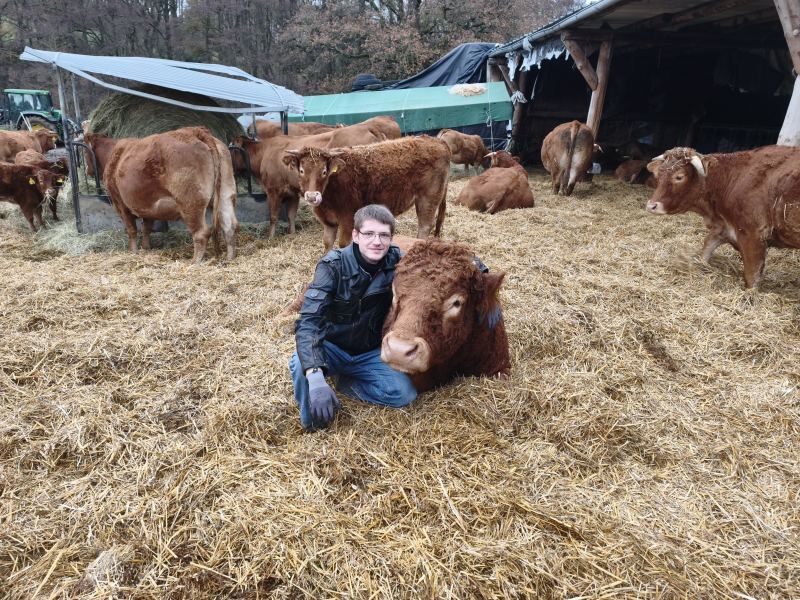 Portrait bauer mit stier
